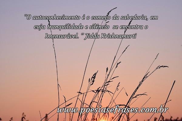 o autoconhecimento e o comeco da sabedoria