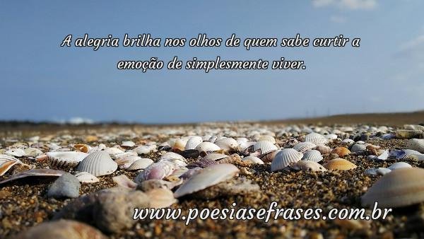 a alegria brilha nos olhos