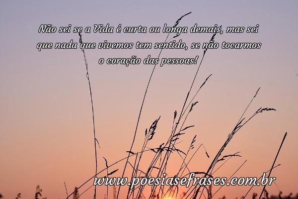 vida e curta