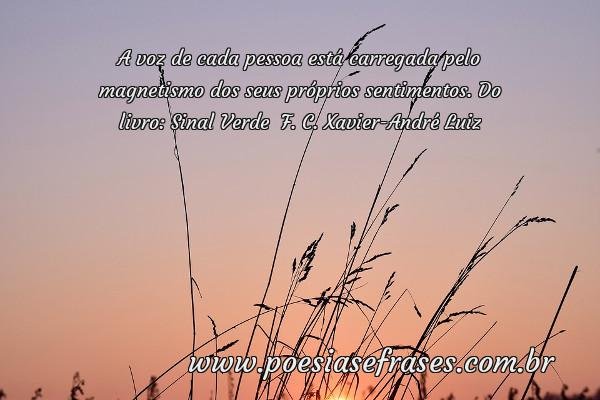 a voz de cada pessoa