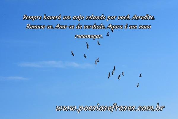 anjo zelando