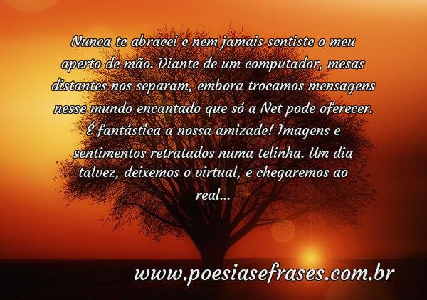 amigo virtual