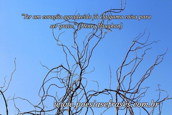 ter um coracao agradecido