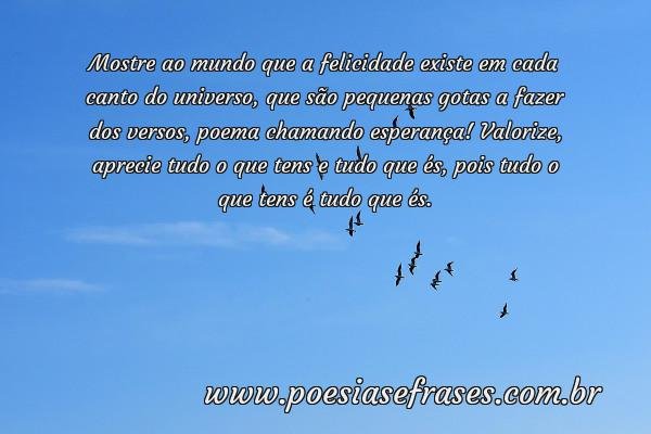 mostre ao mundo que a felicidade