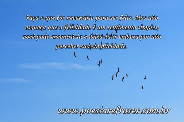 faca o que for necessario para ser feliz