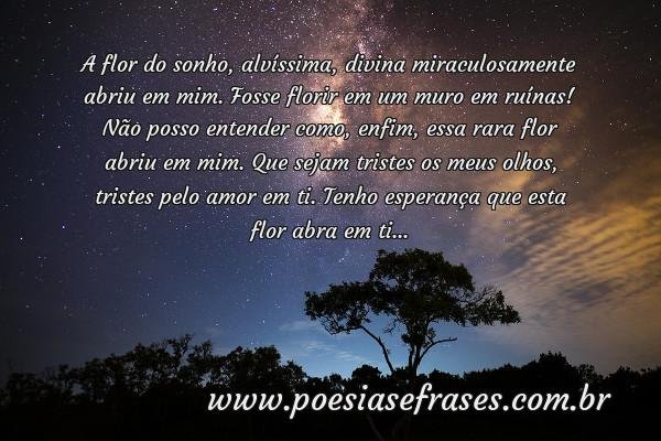 a flor do sonho alvissima