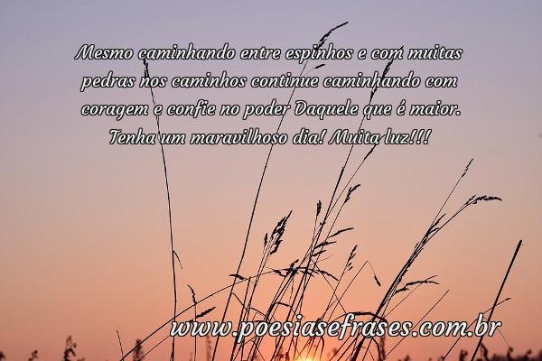tenha um maravilhoso dia