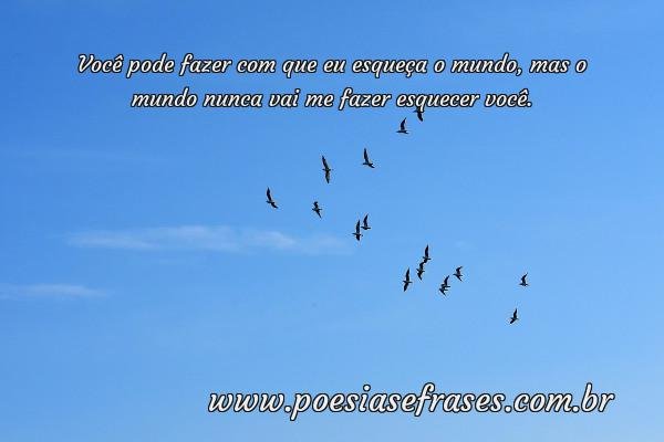voce pode fazer
