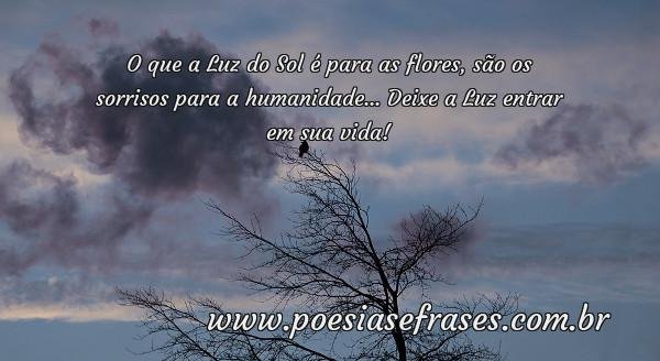 o que a luz do sol e para as flores