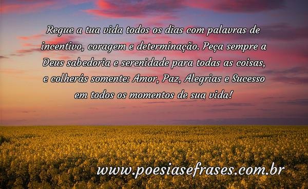 regue a tua vida todos os dias com palavras